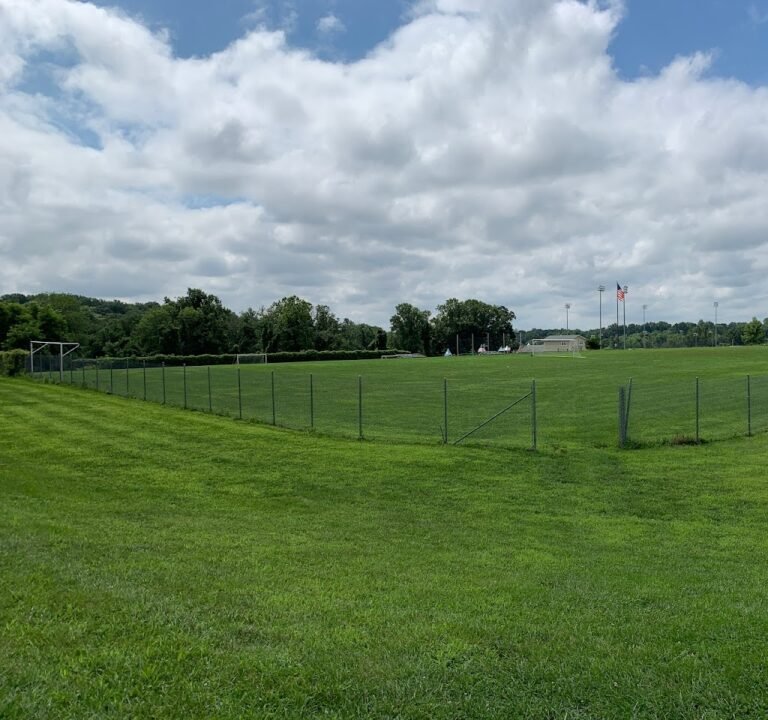 Soccer Field image 2