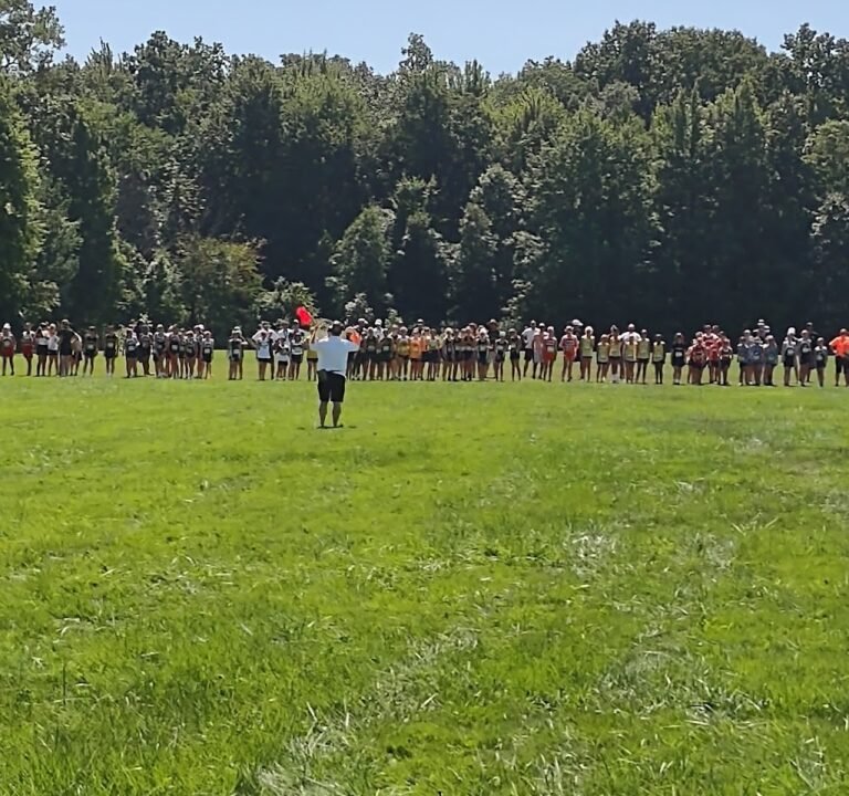 Soccer Field image 2