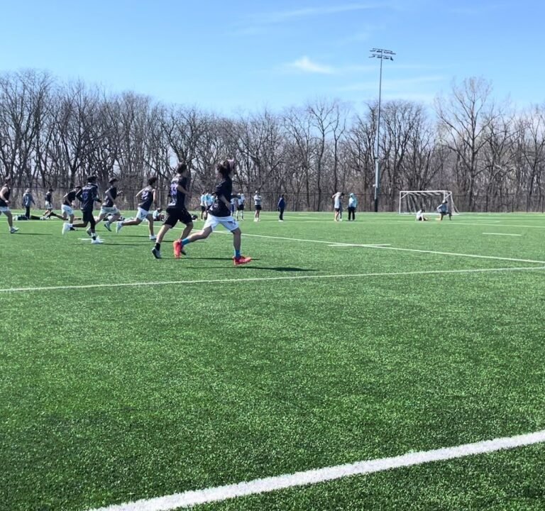 Soccer Field image 4