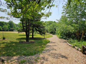 Soccer Field image 1