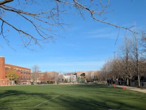 Soccer Field image 1