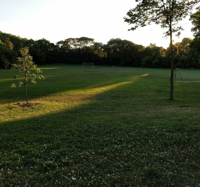 Soccer Field image 2