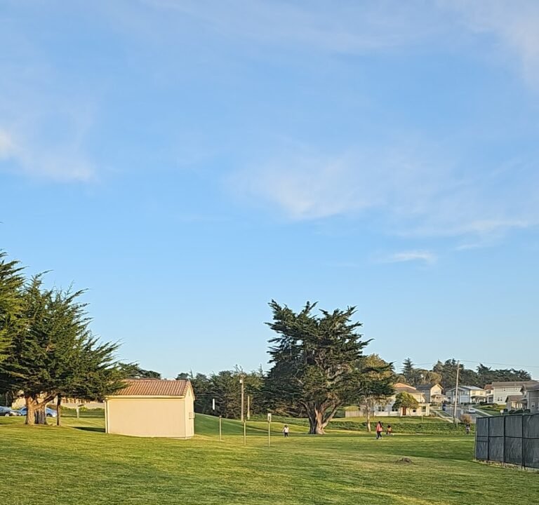 Soccer Field image 2