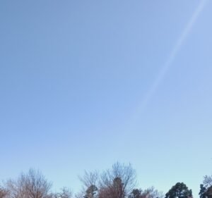 Soccer Field image 3