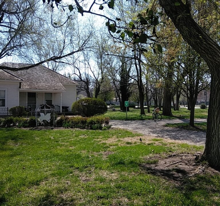 Soccer Field image 2