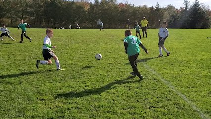 Soccer Field image 1