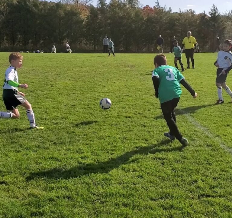 Soccer Field image 2