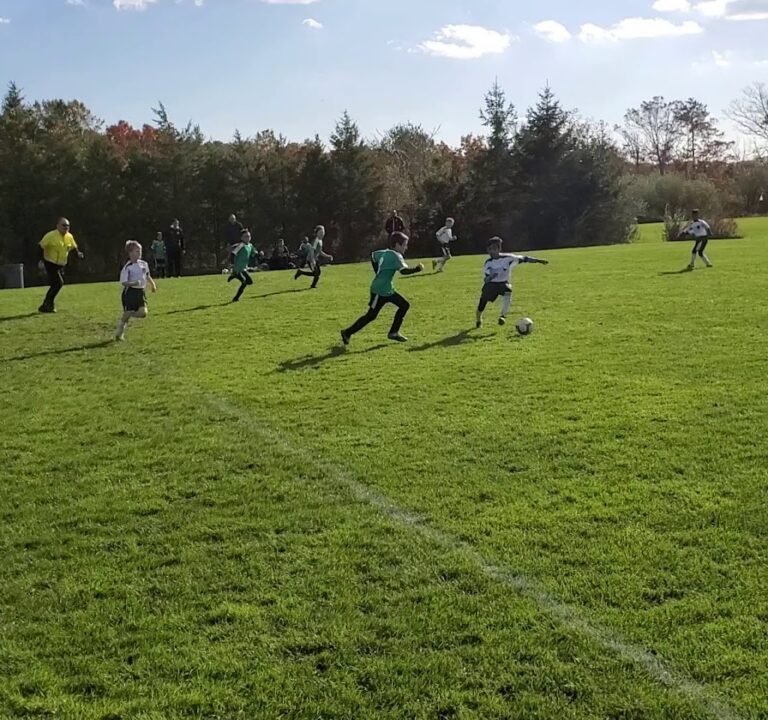 Soccer Field image 3