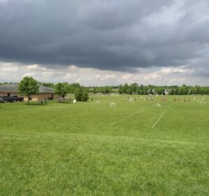Soccer Field image 2