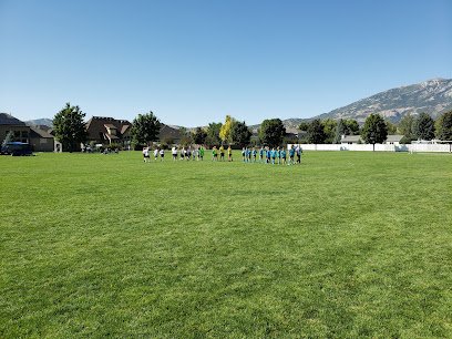 Soccer Field image 1