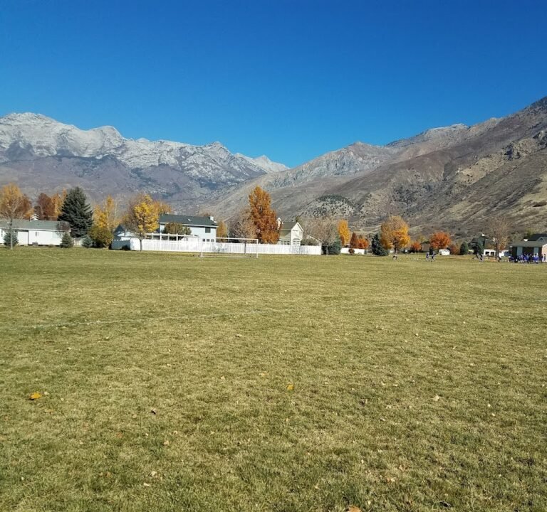 Soccer Field image 3