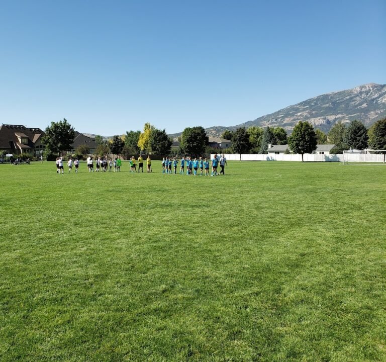 Soccer Field image 2