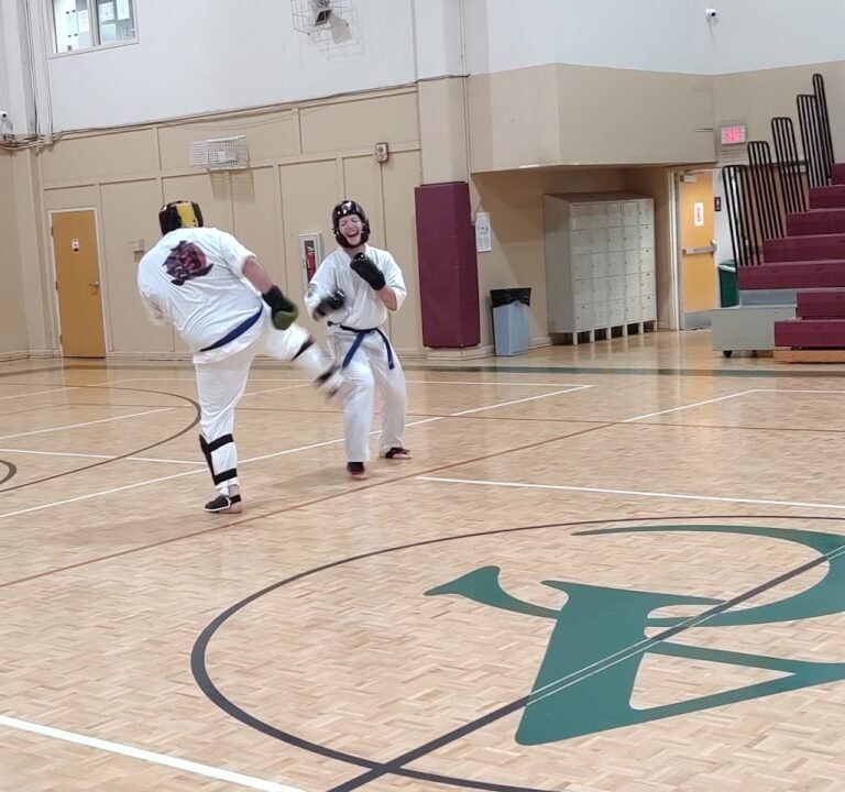 Soccer Field image 2