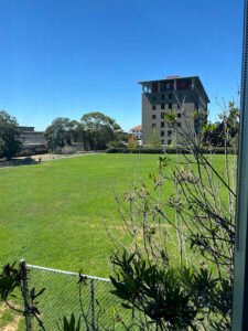 Soccer Field image 1
