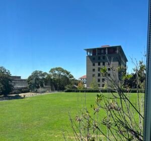 Soccer Field image 2