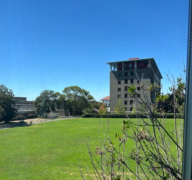 Soccer Field image 2