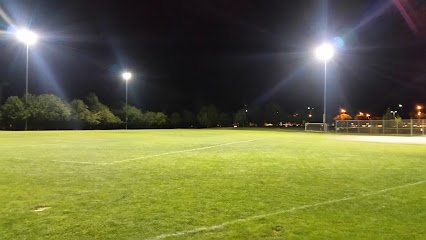 Soccer Field image 1