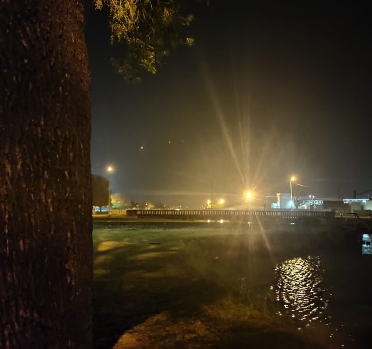 Soccer Field image 2