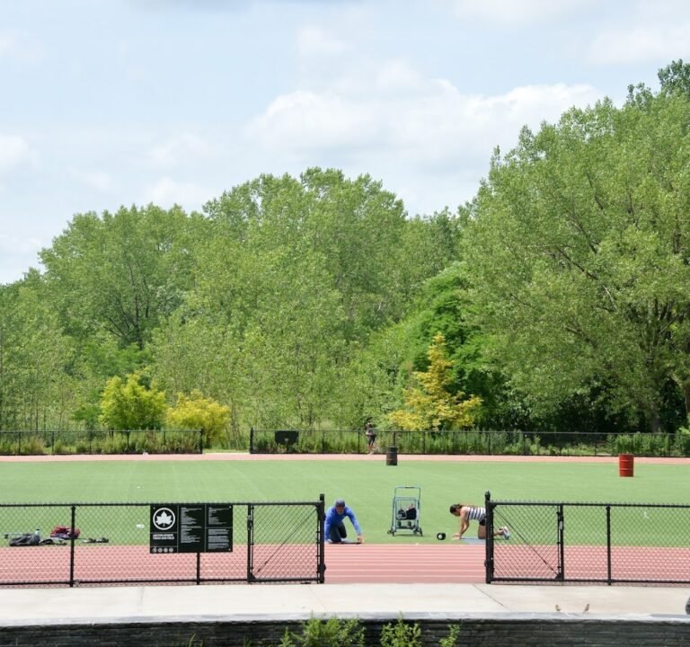 Soccer Field image 2