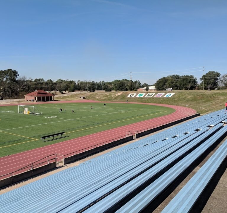 Soccer Field image 2