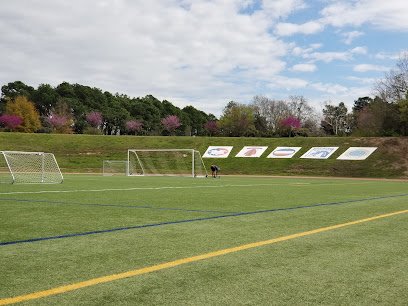 Soccer Field image 1