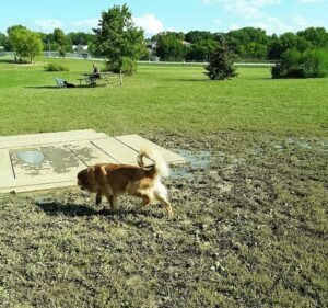 Soccer Field image 2