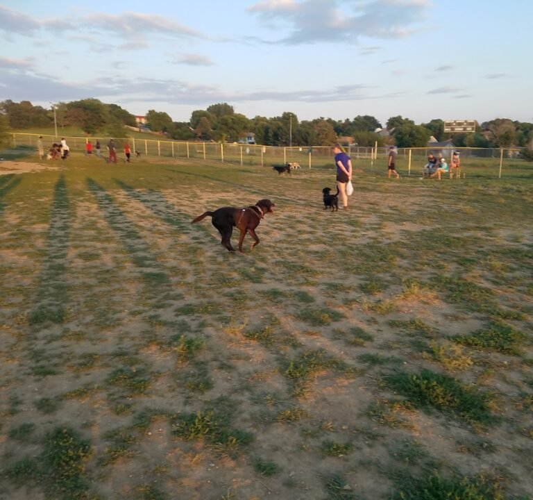 Soccer Field image 3