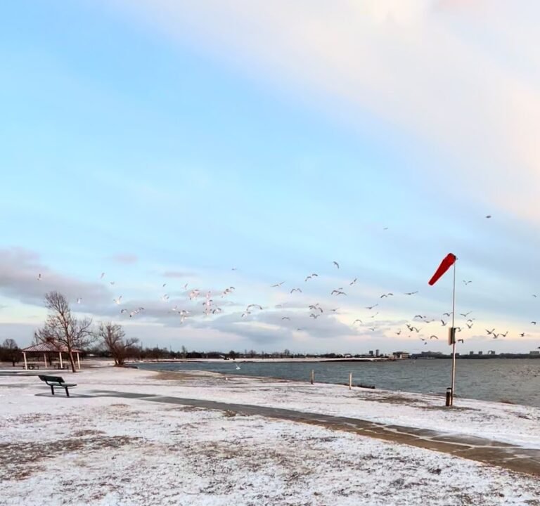 Soccer Field image 3