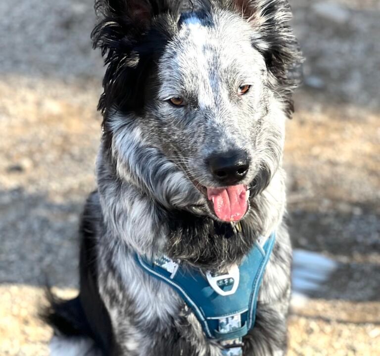 Soccer Field image 3