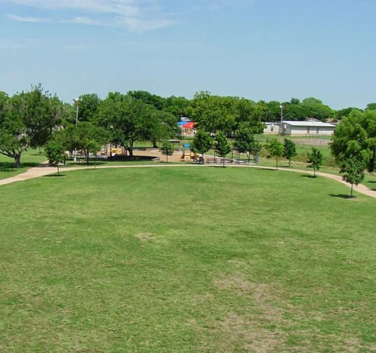 Soccer Field image 3
