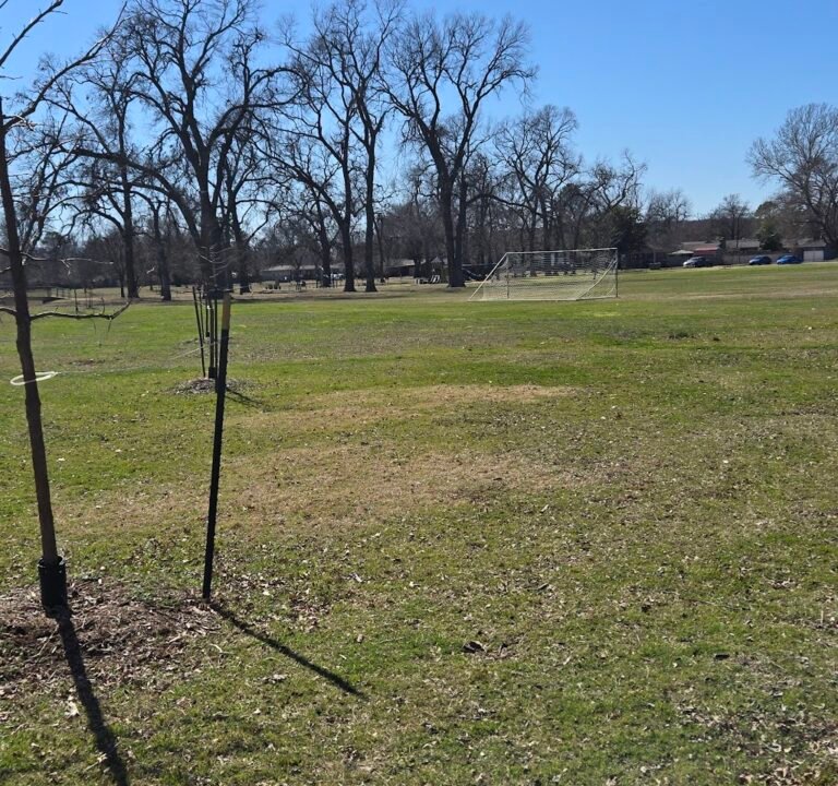 Soccer Field image 3