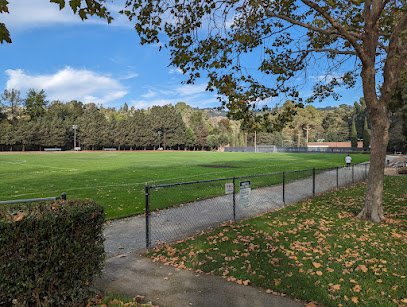 Soccer Field image 1