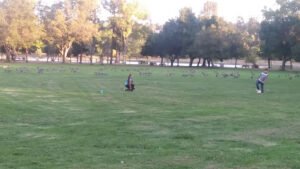 Soccer Field image 1