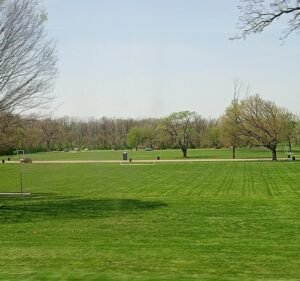 Soccer Field image 2