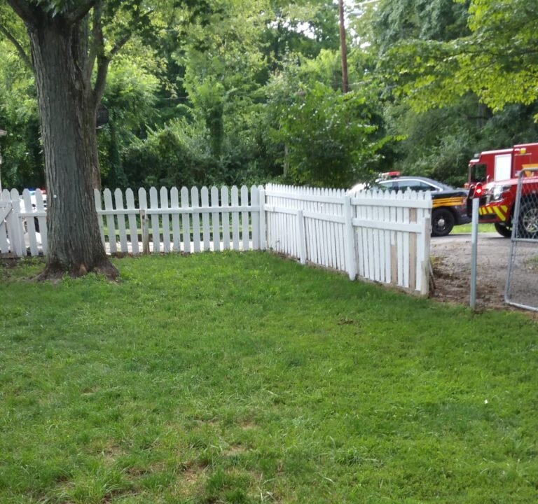 Soccer Field image 3