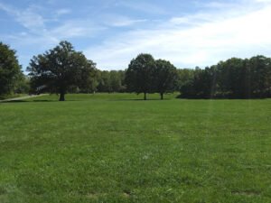 Soccer Field image 1
