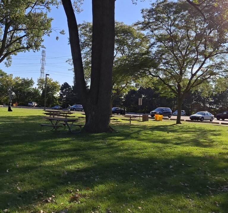 Soccer Field image 2