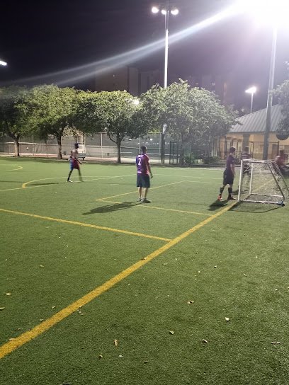 Soccer Field image 1