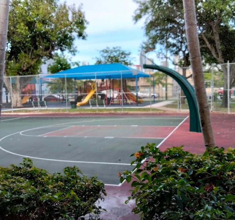 Soccer Field image 2