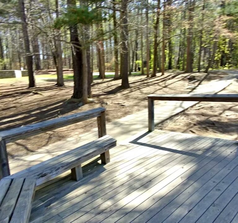 Soccer Field image 4