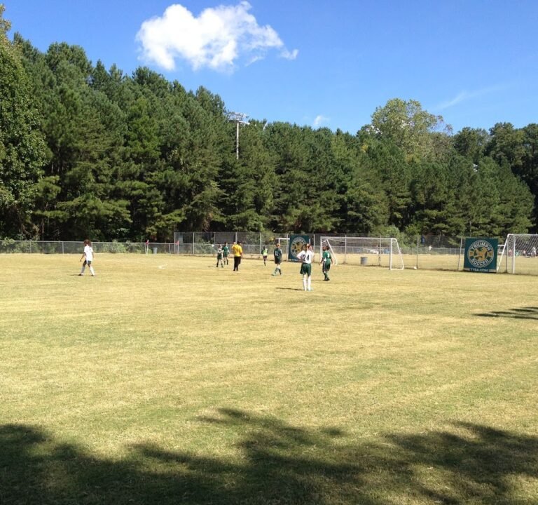 Soccer Field image 2