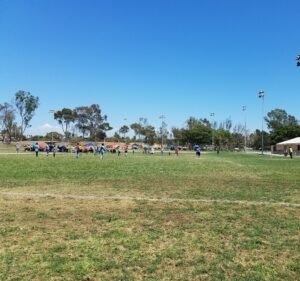 Soccer Field image 2