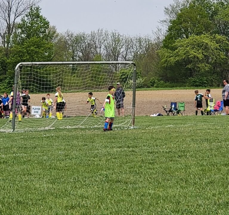 Soccer Field image 2