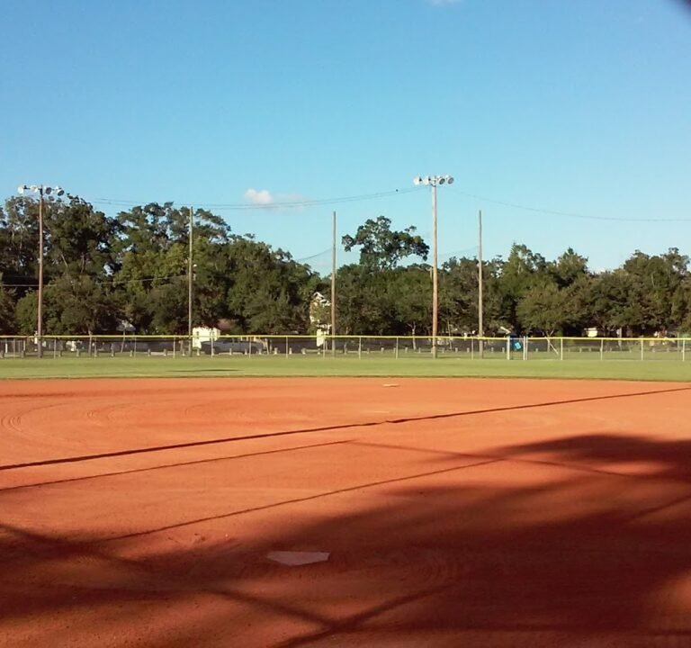 Soccer Field image 2