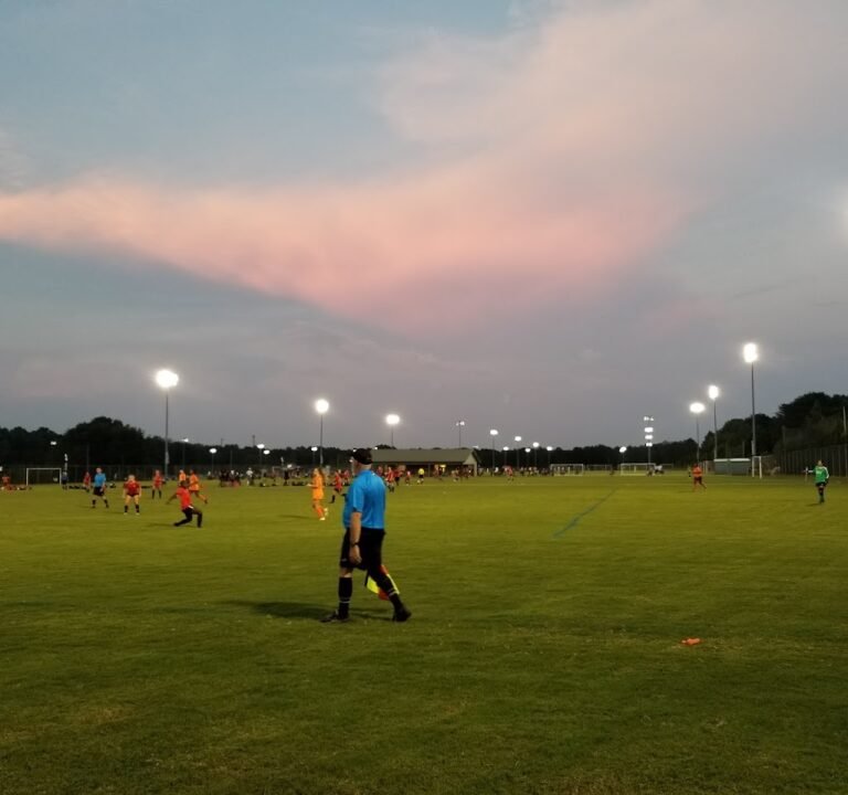 Soccer Field image 2