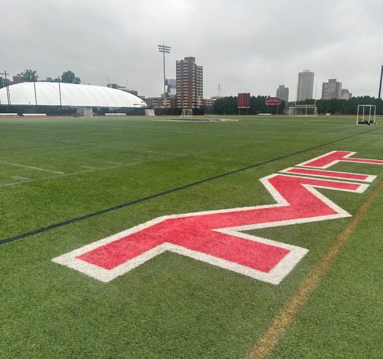 Soccer Field image 3
