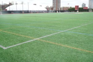 Soccer Field image 1