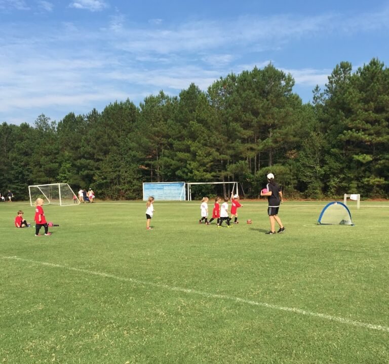 Soccer Field image 2