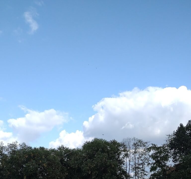 Soccer Field image 2