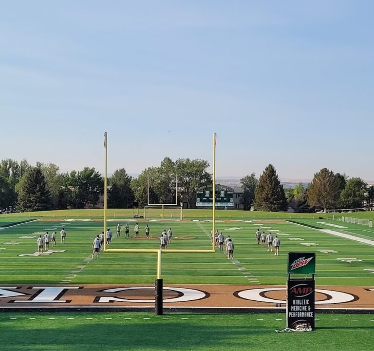 Soccer Field image 2